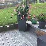 Apartament Alexander *