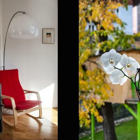 Alexander アパート *