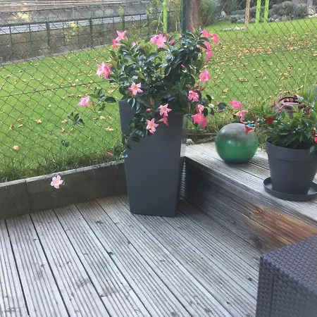 アパート Alexander *