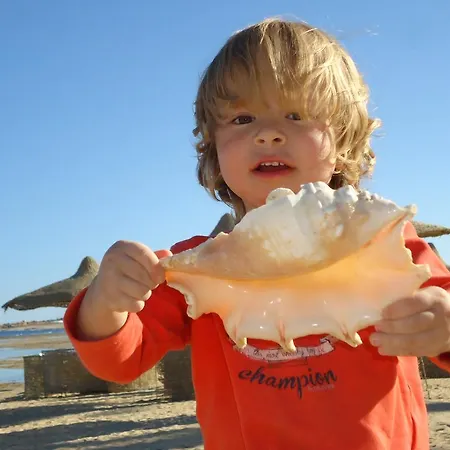 Alexander Lejlighed Innsbruck